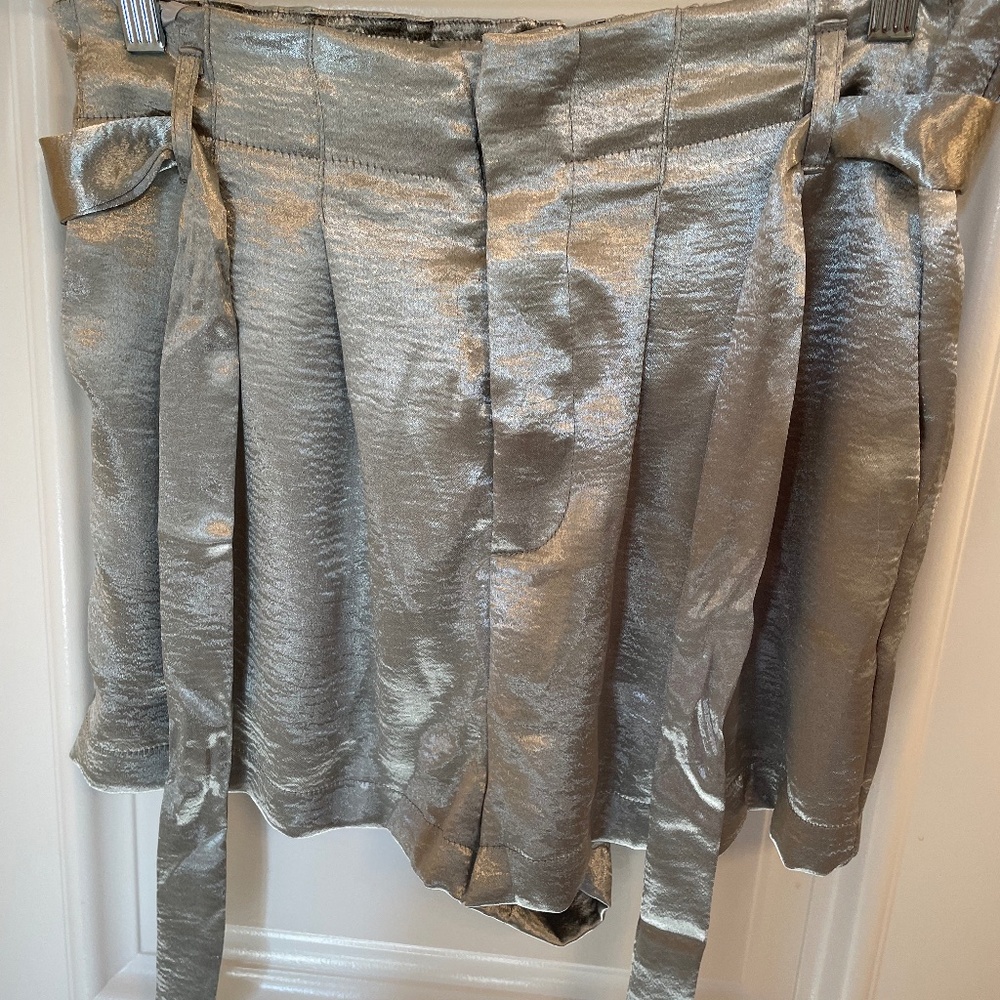 NWT Silver Shorts size L
